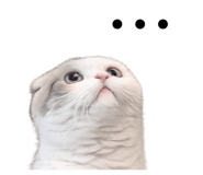 842724363