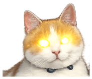 842724369