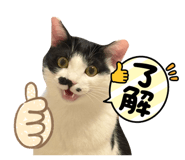 842724393