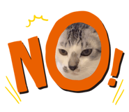 842724398