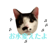 842724419