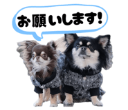 842724626