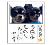 842724782