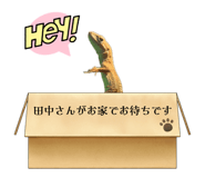842724810