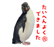 842724813