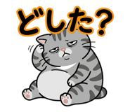 842724858