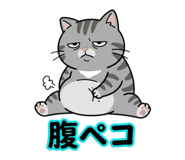 842724880
