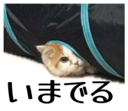 842725288