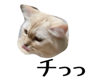 842725300