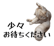 842725302