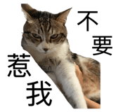 842725750