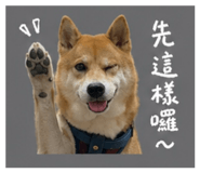 842726510
