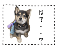842726773