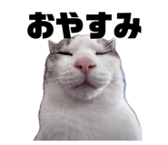 842726910