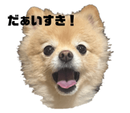 842726923