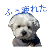 842727028