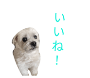 842727030