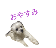 842727031