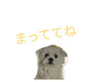 842727032