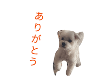 842727034