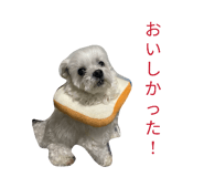 842727040