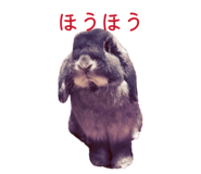 842727073