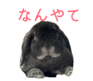 842727078