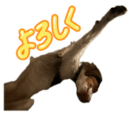 842727596