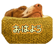 842727600