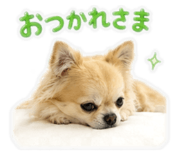 842727808