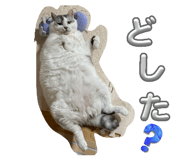 842727922