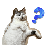 842727928