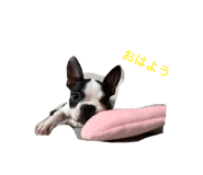 842728073