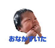 842728082