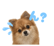 842728091
