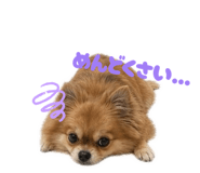 842728092