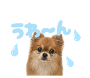 842728094