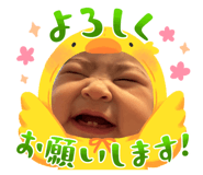 842728503