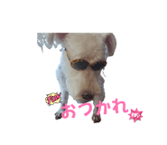 842728631