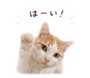 842728640
