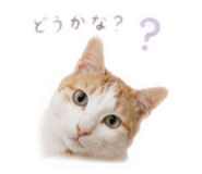 842728641