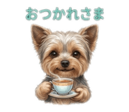 842729251