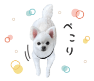 842729636