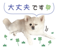 842729644