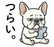 842729719