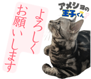 842729960