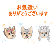 842731578