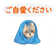 842731579