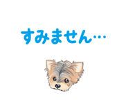 842731581