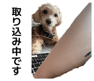 842732283
